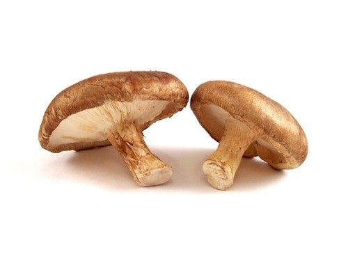 Foto 1 de Cantinho do Cogumelo - Cogumelos, Estufas e Madeiras