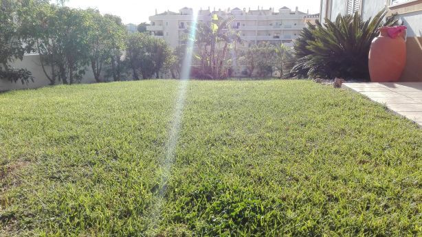 Foto 1 de JPS Construção e Manutenção de Jardins e Piscinas