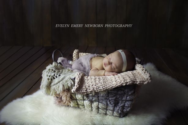 Foto 2 de Evelyn Emery - Fotografia de Recém-nascidos