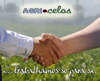 Foto 14 de Agricelos - Agência Agrícola de Barcelos