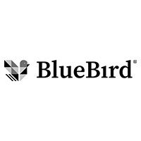 Bluebird, Norteshopping