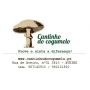 Logo Cantinho do Cogumelo - Cogumelos, Estufas e Madeiras