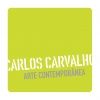 Carlos Carvalho arte contemporânea