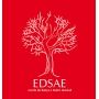 Logo Edsae - Escola de Dança e Teatro Musical