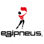 Logo Egipneus - Comércio de Pneus e Acessórios Auto, Lda