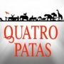 Logo Quatro Patas, Rio Sul Shopping